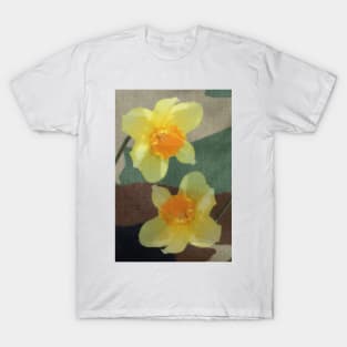 Bi Colour Daffodils T-Shirt